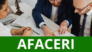Modele Excel pentru afaceri
