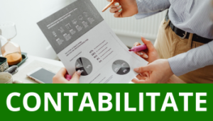 Modele Excel de contabilitate
