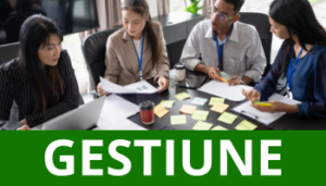 Modele Excel pentru gestiune