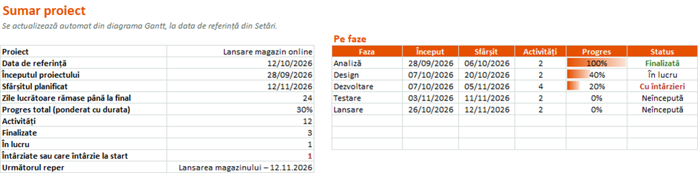 Sumarul proiectului cu progres total și situația pe faze