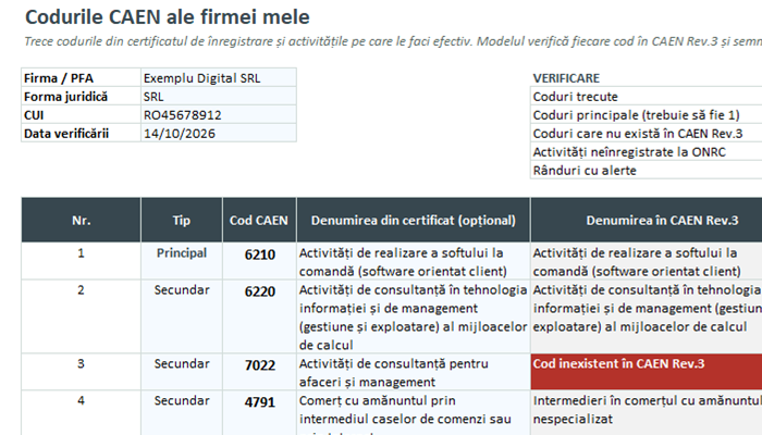 Lista coduri CAEN Rev.3 în Excel: verificarea codurilor firmei