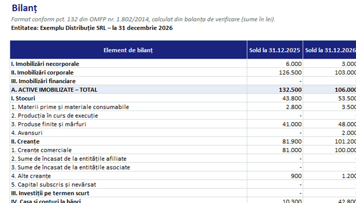 Model bilanț contabil Excel