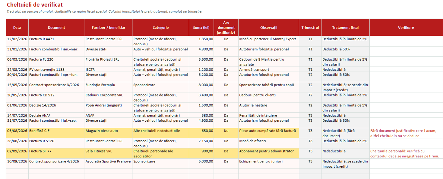 Registrul cheltuielilor cu regim fiscal special: protocol, sponsorizare, auto, amenzi