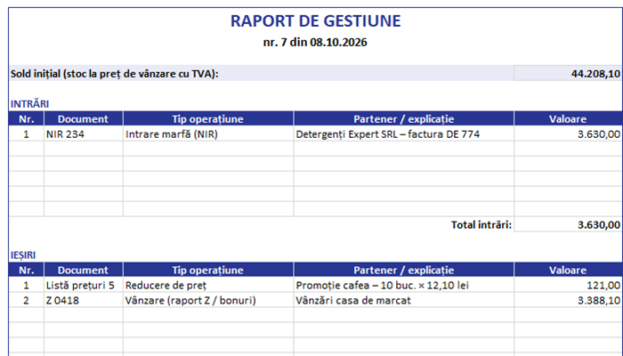Model raport de gestiune Excel
